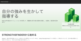 ストレングスファインダー